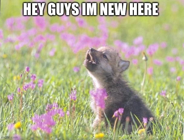 Baby Insanity Wolf | HEY GUYS IM NEW HERE | image tagged in memes,baby insanity wolf | made w/ Imgflip meme maker