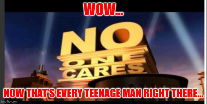Every Teen | WOW... NOW THAT'S EVERY TEENAGE MAN RIGHT THERE... | image tagged in no one cares | made w/ Imgflip meme maker