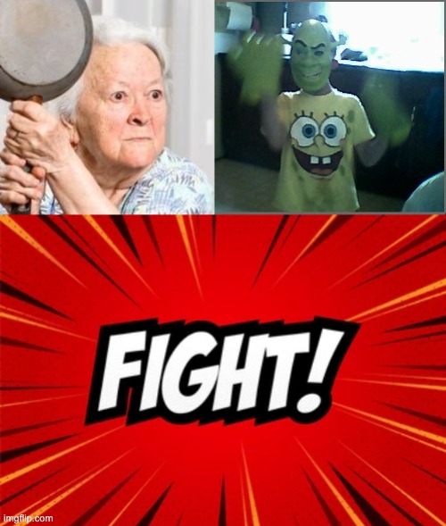 Grandma Helen vs Shrok | image tagged in memes,unfunny | made w/ Imgflip meme maker