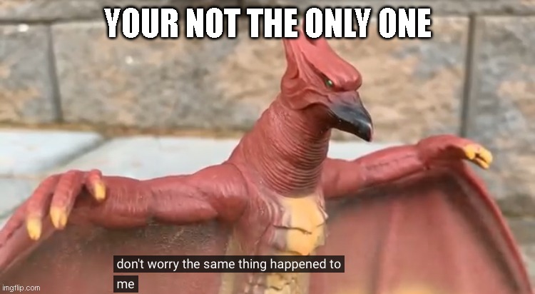 Don’t worry the same thing happened to me | YOUR NOT THE ONLY ONE | image tagged in don t worry the same thing happened to me | made w/ Imgflip meme maker