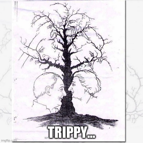tree | TRIPPY... | image tagged in tree | made w/ Imgflip meme maker