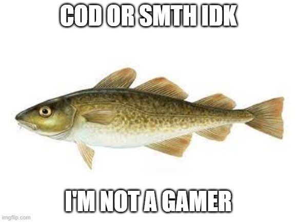 COD | COD OR SMTH IDK; I'M NOT A GAMER | made w/ Imgflip meme maker