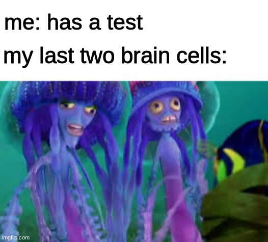 thinking hurts | me: has a test; my last two brain cells: | image tagged in jellyfish,ernie and bernie,tests,im dumb,memes,shark tale | made w/ Imgflip meme maker