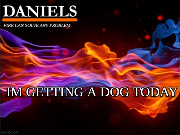 daniels fire template | IM GETTING A DOG TODAY | image tagged in daniels fire template | made w/ Imgflip meme maker