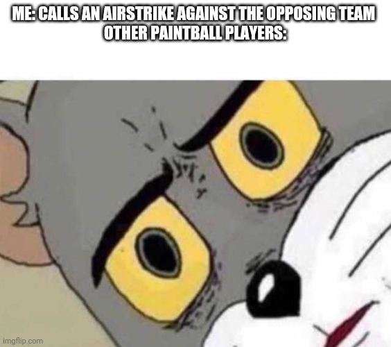 1 | ME: CALLS AN AIRSTRIKE AGAINST THE OPPOSING TEAM 

OTHER PAINTBALL PLAYERS: | image tagged in tom cat unsettled close up | made w/ Imgflip meme maker