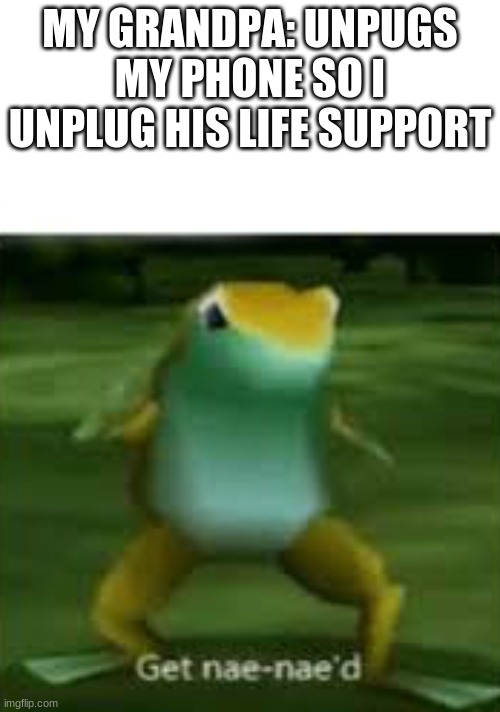 Get nae nae'd | MY GRANDPA: UNPUGS MY PHONE SO I UNPLUG HIS LIFE SUPPORT | image tagged in get nae nae'd | made w/ Imgflip meme maker