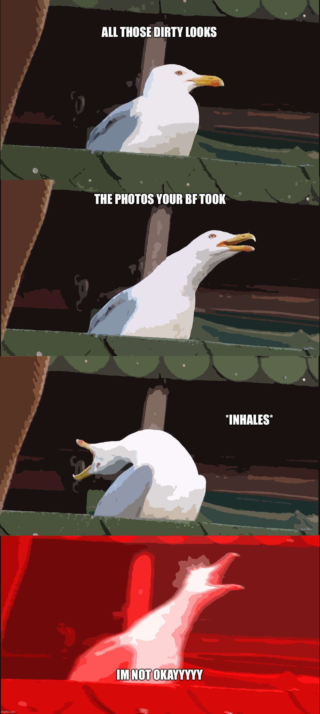 Inhaling Seagull Meme | ALL THOSE DIRTY LOOKS; THE PHOTOS YOUR BF TOOK; *INHALES*; IM NOT OKAYYYYY | image tagged in memes,inhaling seagull | made w/ Imgflip meme maker