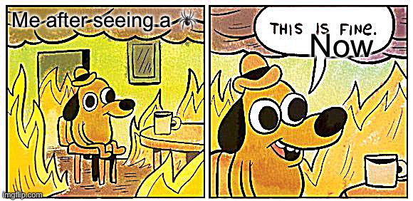 This Is Fine Meme | Me after seeing a 🕷; Now | image tagged in memes,this is fine | made w/ Imgflip meme maker