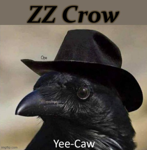 ZZ Crow |  ZZ Crow | image tagged in texas | made w/ Imgflip meme maker