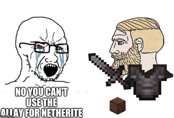 Soyboy Vs Yes Chad | NO YOU CAN'T USE THE ALLAY FOR NETHERITE | image tagged in soyboy vs yes chad | made w/ Imgflip meme maker