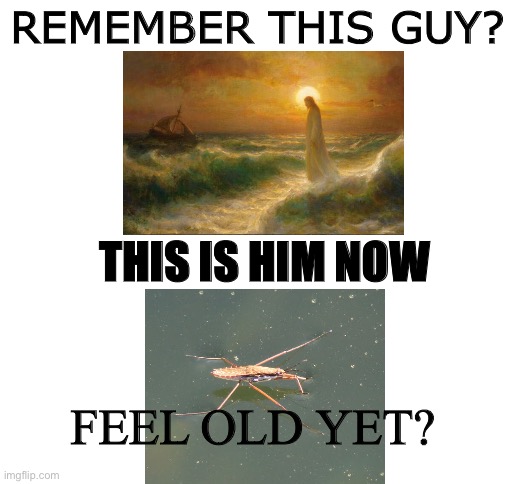 Blank White Template | REMEMBER THIS GUY? THIS IS HIM NOW; FEEL OLD YET? | image tagged in jesus,feel old yet | made w/ Imgflip meme maker