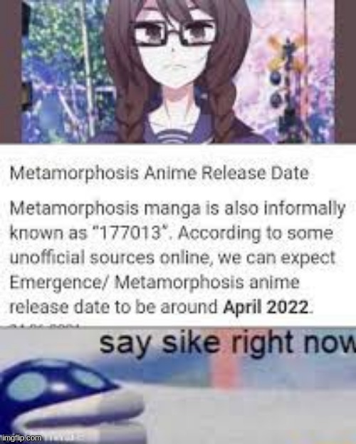 2022 is gonna be a disaster | image tagged in help,2022,anime | made w/ Imgflip meme maker