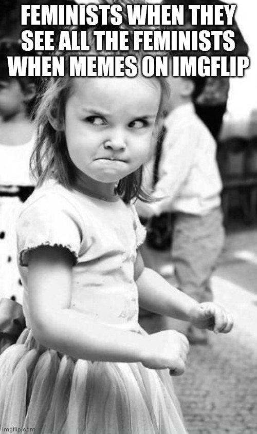 Angry Toddler |  FEMINISTS WHEN THEY SEE ALL THE FEMINISTS WHEN MEMES ON IMGFLIP | image tagged in memes,angry toddler | made w/ Imgflip meme maker