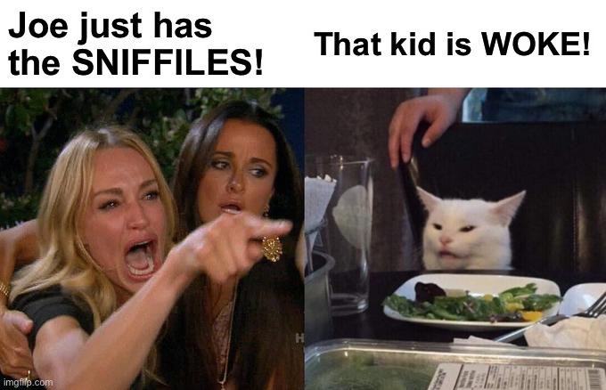 Woman Yelling At Cat Meme | Joe just has the SNIFFlLES! That kid is WOKE! | image tagged in memes,woman yelling at cat | made w/ Imgflip meme maker