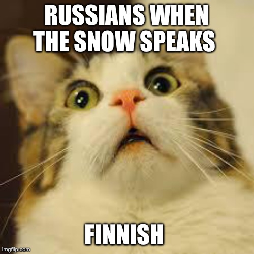 Yep | RUSSIANS WHEN THE SNOW SPEAKS FINNISH | image tagged in scared cat,oh wow are you actually reading these tags,history | made w/ Imgflip meme maker