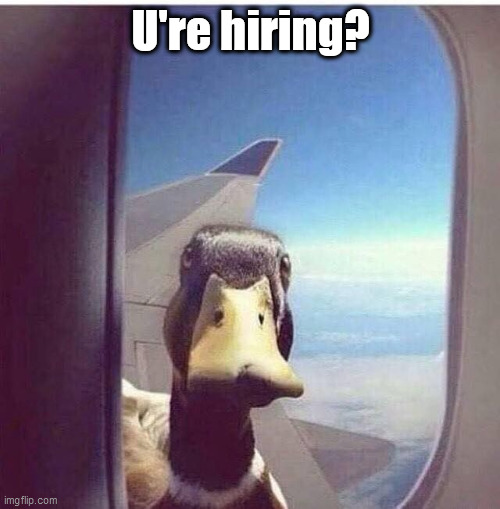 Duck plane | U're hiring? | image tagged in duck plane | made w/ Imgflip meme maker
