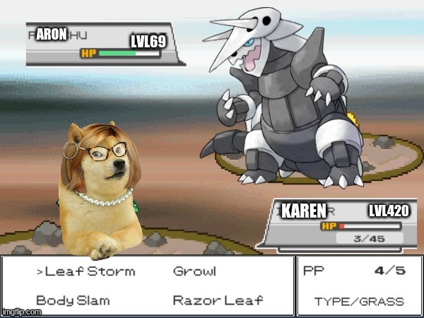 Aggron vs karen battle commences | image tagged in pokemon,gaming | made w/ Imgflip meme maker