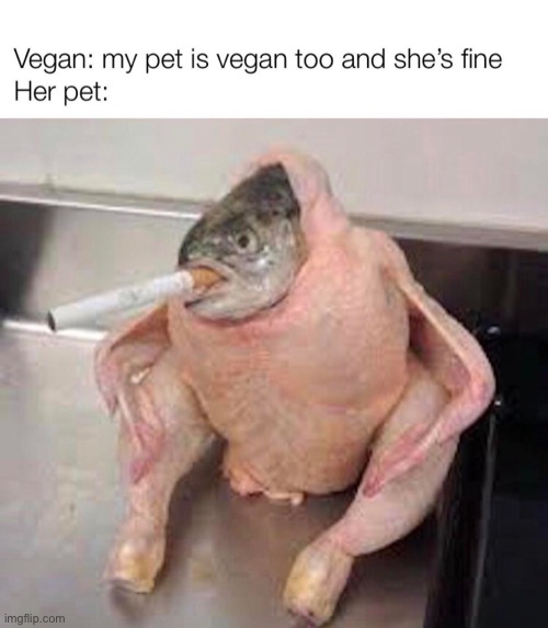 Fish | image tagged in vegan,fish,fun | made w/ Imgflip meme maker