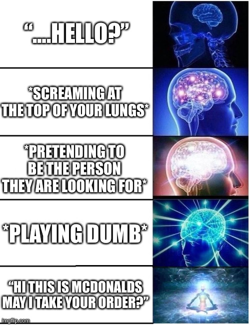 How to respond to Scam Likely’s | “….HELLO?”; *SCREAMING AT THE TOP OF YOUR LUNGS*; *PRETENDING TO BE THE PERSON THEY ARE LOOKING FOR*; *PLAYING DUMB*; “HI THIS IS MCDONALDS MAY I TAKE YOUR ORDER?” | image tagged in expanding brain 5 panel | made w/ Imgflip meme maker