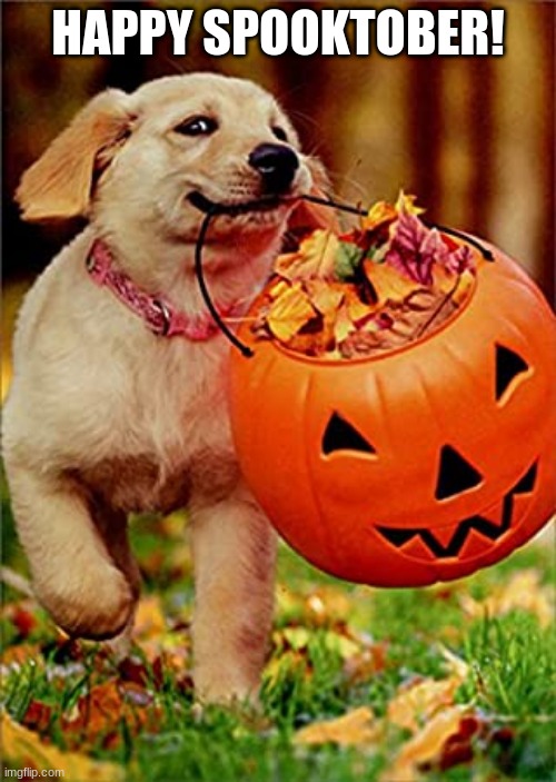 Halloween doggo | HAPPY SPOOKTOBER! | image tagged in spooktober,halloween,dogs,cuteee,autumn leaves,woof | made w/ Imgflip meme maker