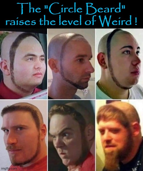 Circle Beard | The "Circle Beard"
raises the level of Weird ! | image tagged in weird stuff | made w/ Imgflip meme maker