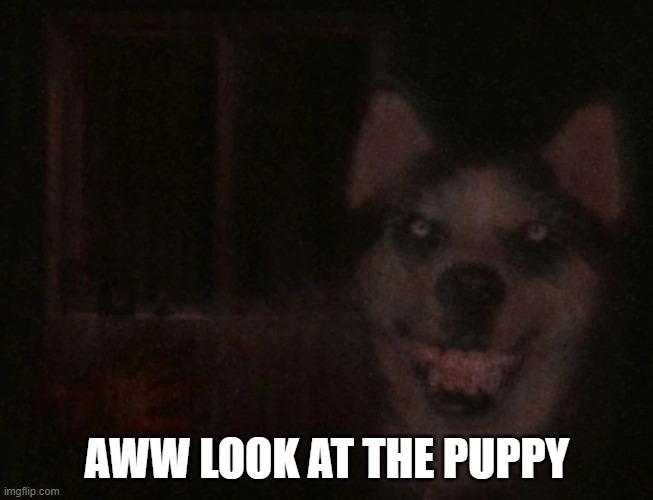 AWW LOOK AT THE PUPPY | made w/ Imgflip meme maker