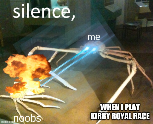 Silence crab vs. noobs | me; WHEN I PLAY KIRBY ROYAL RACE; noobs | image tagged in silence crab | made w/ Imgflip meme maker