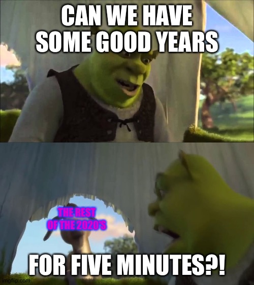 shrek five minutes |  CAN WE HAVE SOME GOOD YEARS; FOR FIVE MINUTES?! THE REST OF THE 2020'S | image tagged in shrek five minutes | made w/ Imgflip meme maker