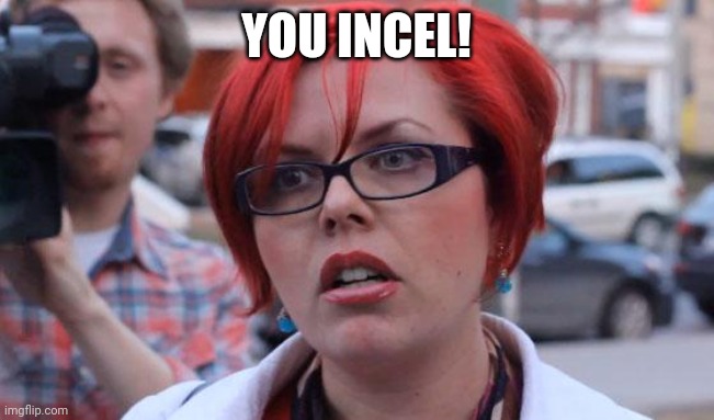 Angry Feminist | YOU INCEL! | image tagged in angry feminist | made w/ Imgflip meme maker