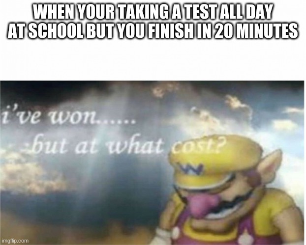 this just happened to me | WHEN YOUR TAKING A TEST ALL DAY AT SCHOOL BUT YOU FINISH IN 20 MINUTES | image tagged in i won but at what cost,school,tests,oh wow are you actually reading these tags | made w/ Imgflip meme maker
