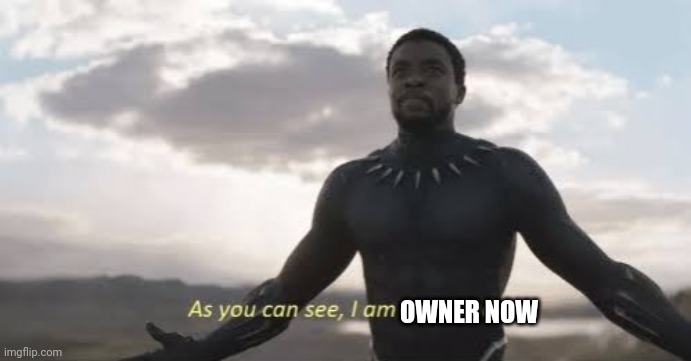 As you can see, i am not dead | OWNER NOW | image tagged in as you can see i am not dead | made w/ Imgflip meme maker