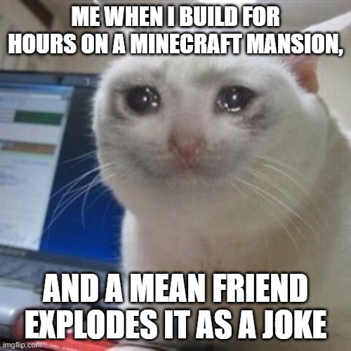 Crying cat | ME WHEN I BUILD FOR HOURS ON A MINECRAFT MANSION, AND A MEAN FRIEND EXPLODES IT AS A JOKE | image tagged in crying cat | made w/ Imgflip meme maker