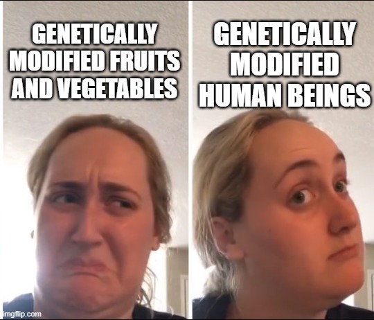 Kombucha Girl | GENETICALLY MODIFIED HUMAN BEINGS; GENETICALLY MODIFIED FRUITS AND VEGETABLES | image tagged in kombucha girl,gmo fruits vegetables,covid vaccine | made w/ Imgflip meme maker