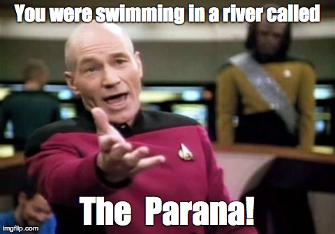 Piranha bites? | You were swimming in a river called The  Parana! | image tagged in memes,picard wtf | made w/ Imgflip meme maker