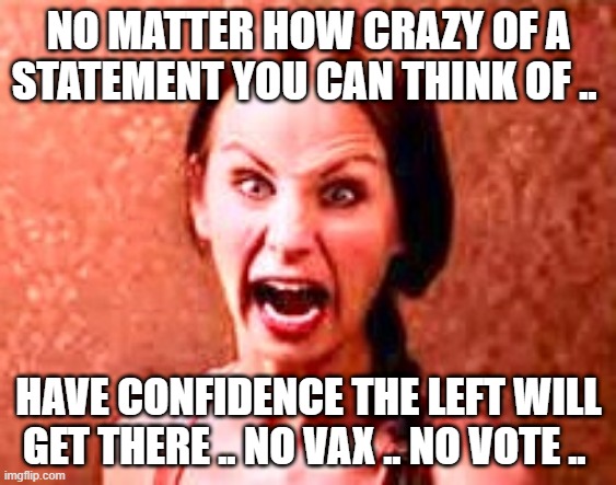 INSANITY BE THY NAME | NO MATTER HOW CRAZY OF A STATEMENT YOU CAN THINK OF .. HAVE CONFIDENCE THE LEFT WILL GET THERE .. NO VAX .. NO VOTE .. | image tagged in crazy liberal | made w/ Imgflip meme maker