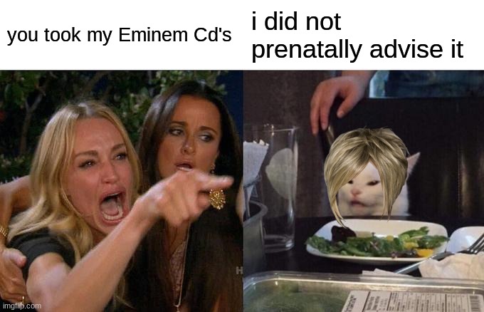 Woman Yelling At Cat | you took my Eminem Cd's; i did not prenatally advise it | image tagged in memes,woman yelling at cat | made w/ Imgflip meme maker