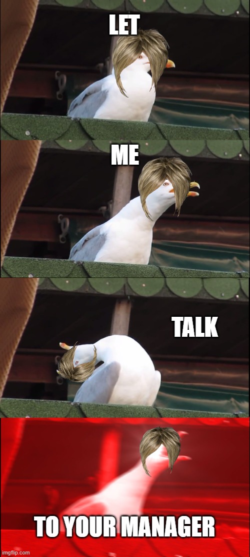 MANAGER | LET; ME; TALK; TO YOUR MANAGER | image tagged in memes,inhaling seagull | made w/ Imgflip meme maker