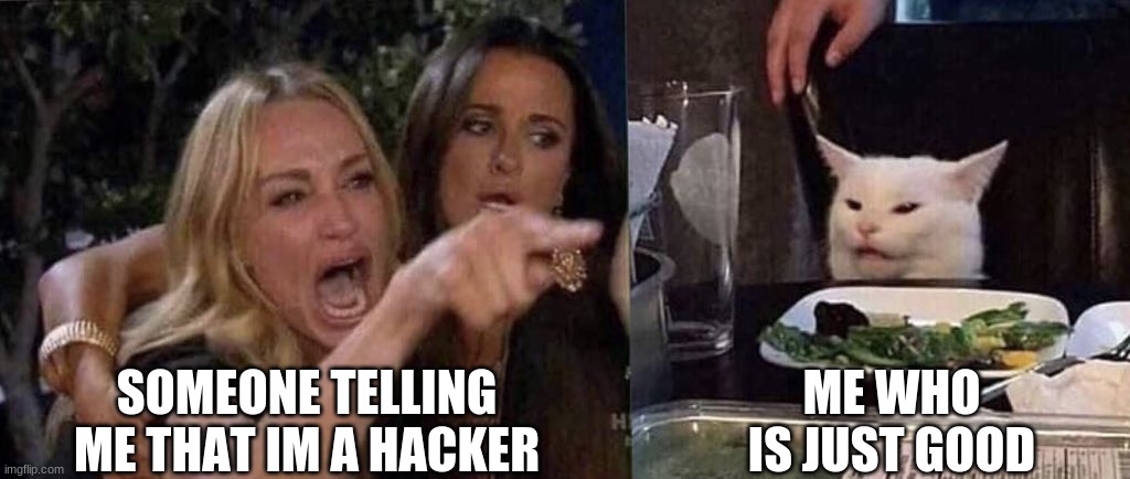 woman yelling at cat | SOMEONE TELLING ME THAT IM A HACKER; ME WHO IS JUST GOOD | image tagged in woman yelling at cat | made w/ Imgflip meme maker