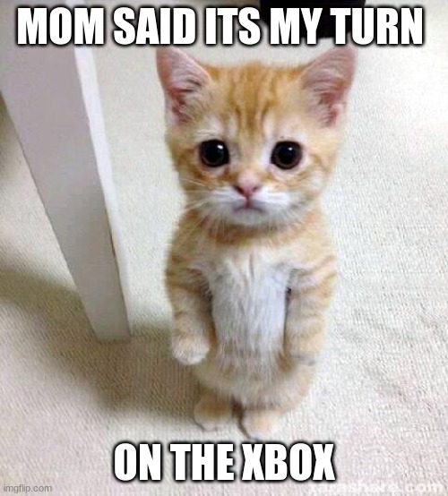 Cute Cat | MOM SAID ITS MY TURN; ON THE XBOX | image tagged in memes,cute cat | made w/ Imgflip meme maker