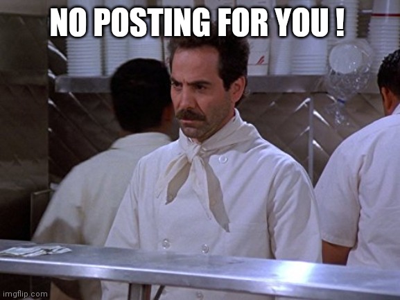 No posting for you | NO POSTING FOR YOU ! | image tagged in seinfeld,soup nazi | made w/ Imgflip meme maker