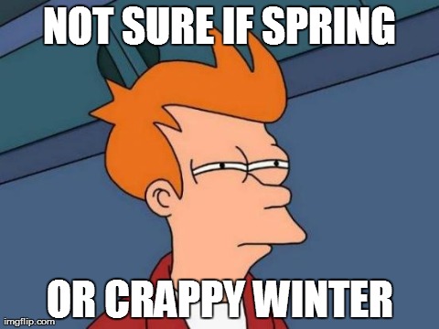 Futurama Fry Meme | NOT SURE IF SPRING OR CRAPPY WINTER | image tagged in memes,futurama fry | made w/ Imgflip meme maker