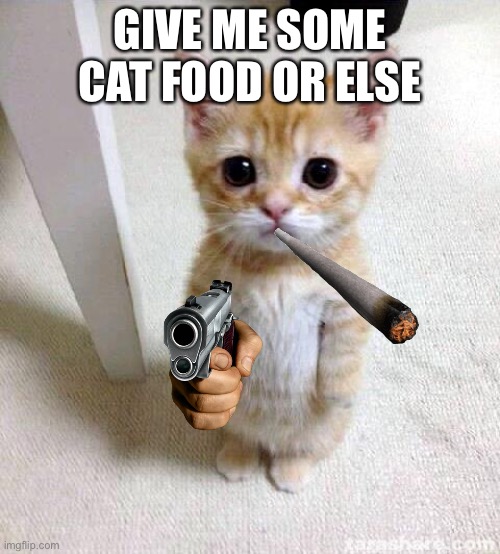 Cute Cat Meme | GIVE ME SOME CAT FOOD OR ELSE | image tagged in memes,cute cat | made w/ Imgflip meme maker