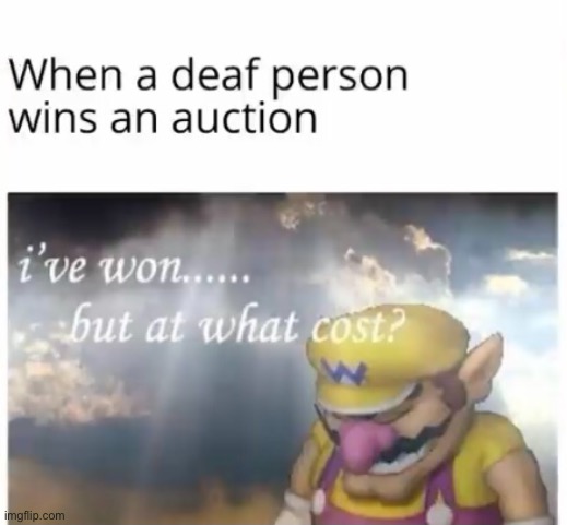 No, actually. How much did it cost? | image tagged in dark humor,memes,funny,deaf,mario | made w/ Imgflip meme maker