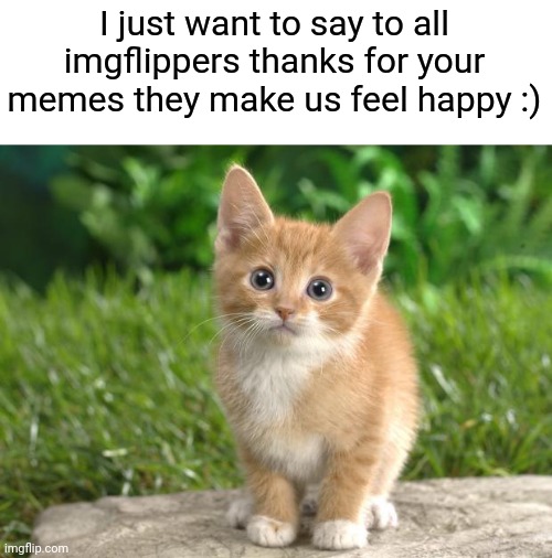Cute cats | I just want to say to all imgflippers thanks for your memes they make us feel happy :) | image tagged in cute cats | made w/ Imgflip meme maker