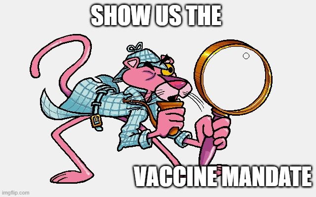pink panther | SHOW US THE; VACCINE MANDATE | image tagged in pink panther | made w/ Imgflip meme maker