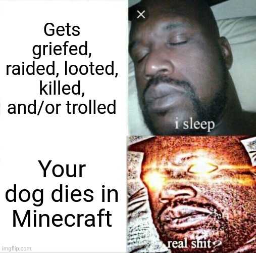 Nooooo not the doggy!!!! | Gets griefed, raided, looted, killed, and/or trolled; Your dog dies in Minecraft | image tagged in memes,sleeping shaq,minecraft | made w/ Imgflip meme maker