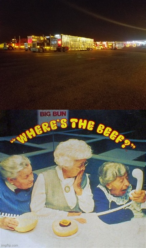 Where's the beef? | image tagged in cows | made w/ Imgflip meme maker