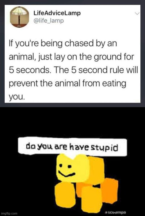 oh no :0 | image tagged in do you are have stupid,ruby,magic 8 ball,lamp,3 wishes,i guide others to a treasure i cannot possess | made w/ Imgflip meme maker