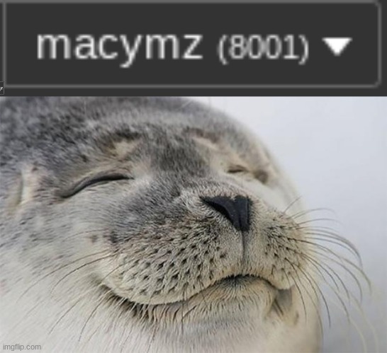 I happy | image tagged in memes,satisfied seal | made w/ Imgflip meme maker