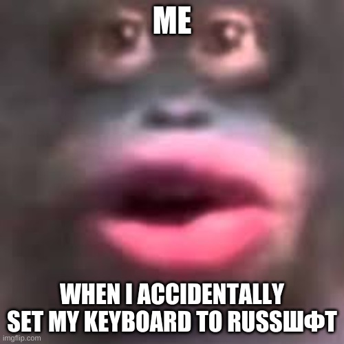 when i set my keyboard to russian | ME; WHEN I ACCIDENTALLY SET MY KEYBOARD TO RUSSШФТ | image tagged in monkey | made w/ Imgflip meme maker